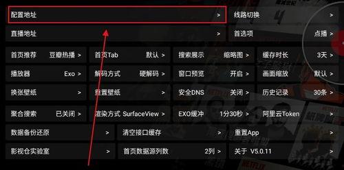 最新影视仓配置接口,揭秘最新影视配置接口带来的革命性变革